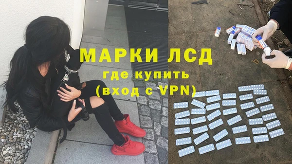 твердый Балахна