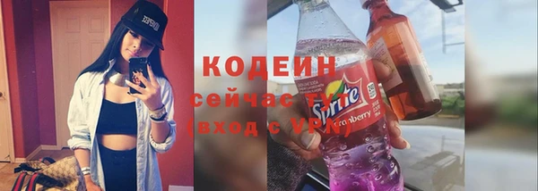 молекула духа Семилуки