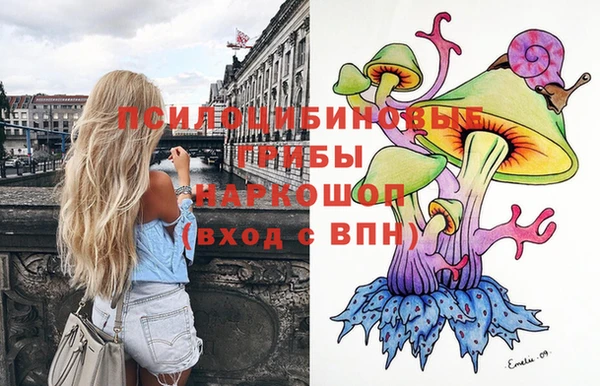 твердый Балахна