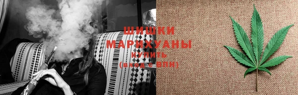 молекула духа Семилуки