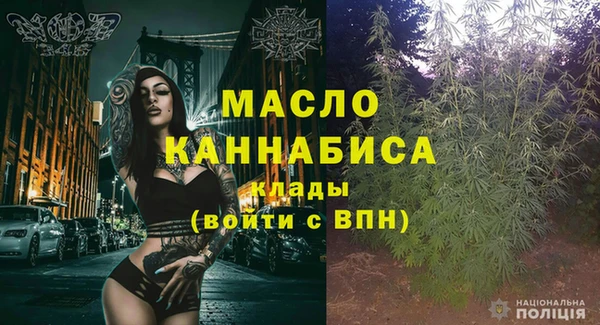 молекула духа Семилуки
