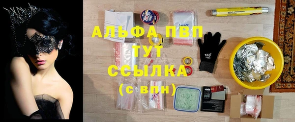 молекула духа Семилуки